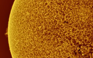 Sonne 290MM Cool 1.jpeg