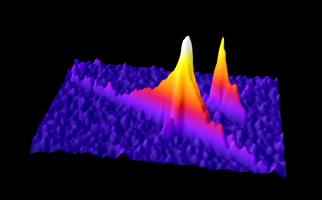 ImageJ-GRAVES-XYVv230926064320.png