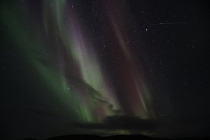IMG_9638_s.JPG