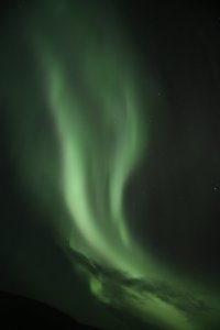 IMG_9659_s.JPG