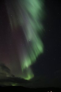 IMG_9642_s.JPG