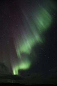 IMG_9643_s.JPG
