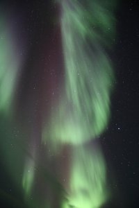 IMG_9640_s.JPG