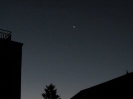 IMG_3501_crop.jpg