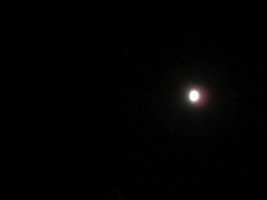 IMG_3500-crop.jpg