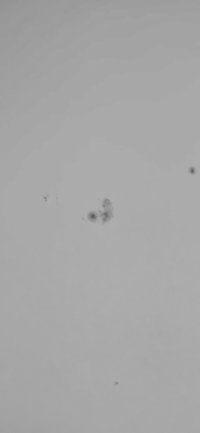 lytkarino5334022.jpg