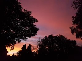 20230928_070524.jpg