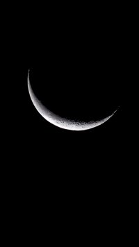 IMG_4665.jpeg IMG_4665.jpeg