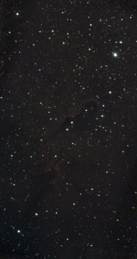 IMG_4941.jpeg