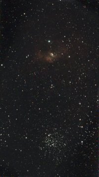 IMG_4949.jpeg