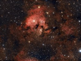 NGC7822_mitFlat.jpg NGC7822_mitFlat.jpg