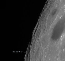 mond_sxf.jpg