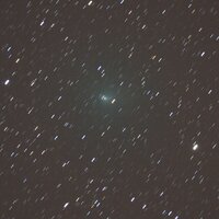 103P2C8Bl6.3Ade.JPG