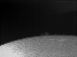 neu22222222222.jpg
