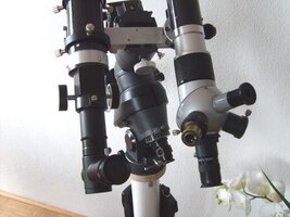 S5002466.jpg