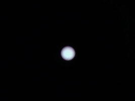 DSC01263.jpg