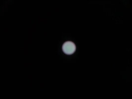 DSC01276.jpg