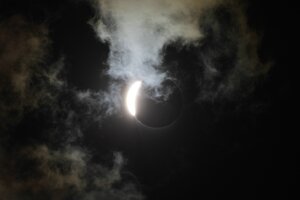 AdecompIMG_8868a.jpg