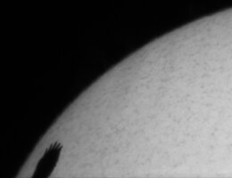 Flügel vor Sonne.jpg