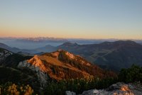 DSC08805.JPG