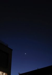 Venus-Loewe_20231023_070033.jpg