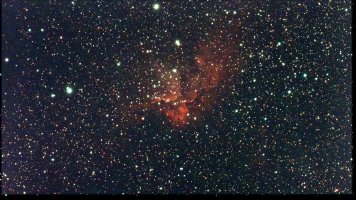 IMG_5015.jpeg