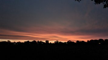 20231102_063618.jpg