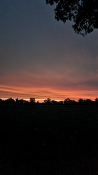 20231102_063605.jpg