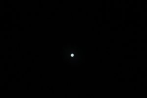 IMG_3129.JPG