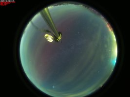 IMG_2851.jpeg