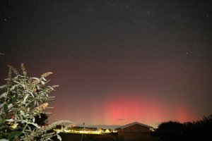 IMG_9302.JPG