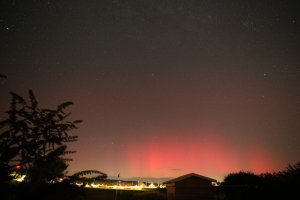 IMG_9303.JPG