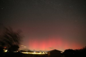 IMG_9305.JPG