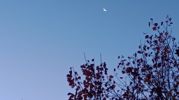 IMG_20231108_065551869.jpg