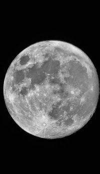 IMG_8940.jpeg