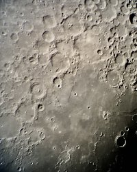 IMG_5548.jpeg