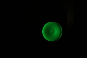 IMG_3196.JPG