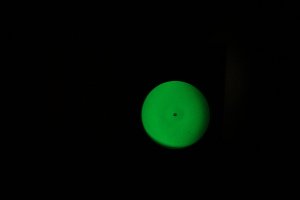 IMG_3192.JPG