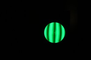 IMG_3194.JPG