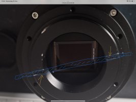 IMG_3364.jpeg