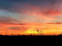 sunset.jpg