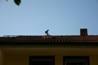 IMG_1892.JPG