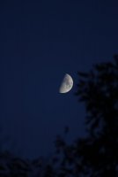 _MG_7528.JPG