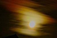 IMG_7234.JPG