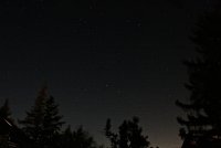 IMG_7241.JPG