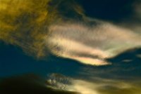 IMG_7479.JPG