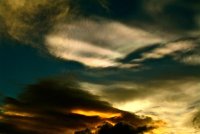 IMG_7482.JPG