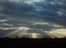 IMG_3408.JPG