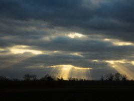 IMG_3411.JPG