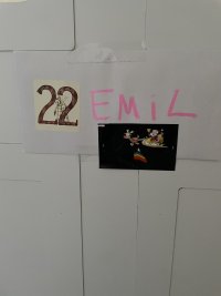 IMG_5383.jpeg
